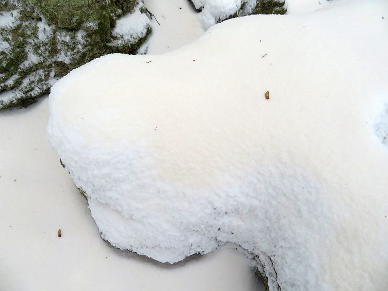 Leicht gefärbter Schnee bedeckte die GS 1 (Detail)