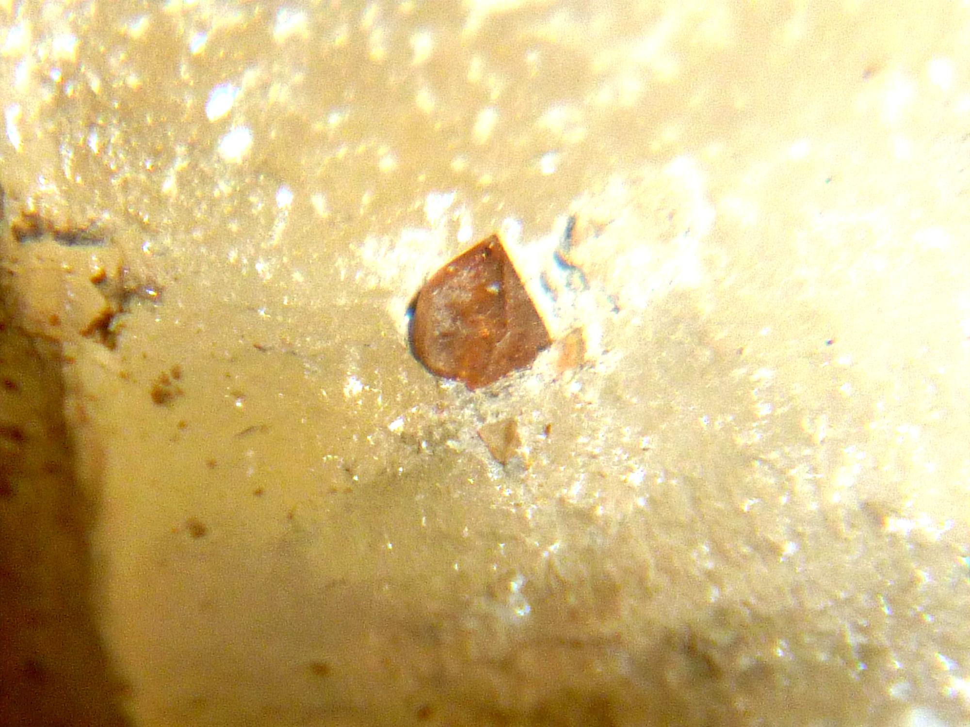 Hyazinth in Marienglas, ca. 2 mm