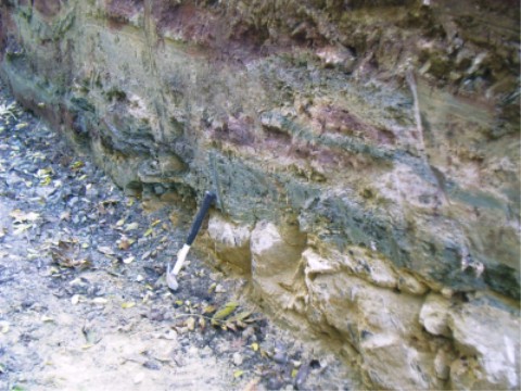 mineralogisch interessante Schichten des Sollingsandsteins