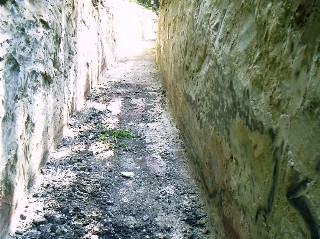 Kurz vor Beginn der *interessanten Schichten des Chirotheriensandsteins hörte der Graben am unteren Burgweg auf.