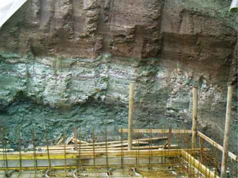 Bild 5: Südwand der Baugrube Grillparzerweg 5 mit sattelförmiger Aufwölbung von grünen Mergelsteinenmit den darüberliegenden unteren roten Sandsteinschiefern