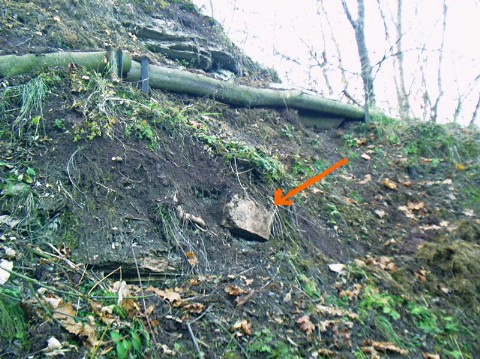 Bild 12: Im oberen Teil des Zugangspfades erkennt man die Rhizocoralliumbank nur in einem abgerollten Block (Betreten auf eigene Gefahr).
