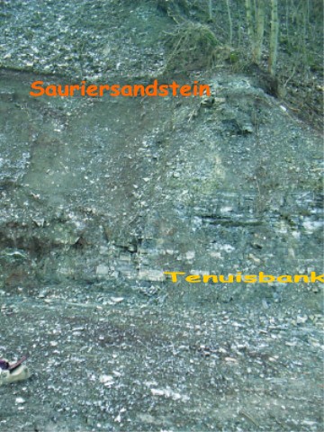 Bild 1: Mergelgrube Göschwitz Detail, Foto: C. Linde 12/02