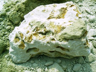 Ein Drusenhorizont im Sandstein zog sich durch die gesamte Baugrubenwand. Auf dem aus diesem Horizont herausgebrochenen Stückerkennt man deutlich die mit braunen Dolomitkristallen gefüllten Drusen.
