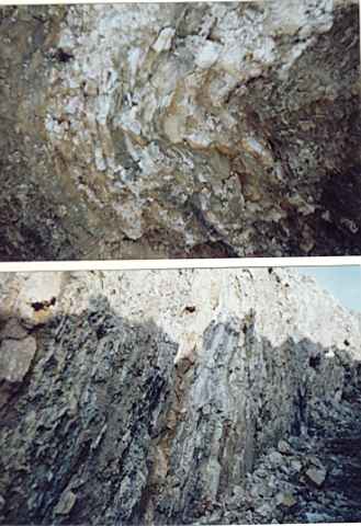 Bilder 1 und 2 zeigen gefaltete (oben) und steilgestellte (unten) Hauptmuschelkalk-Folge (Ceratitenschichten) im Cospedaer Graben