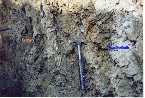 Bild 3: Die Grenze zwischen Keuper (links) und Muschelkalk (rechts) wird durch den Hammerverlauf in etwa gekennzeichnet.