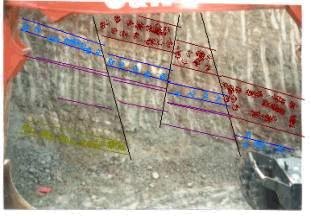 Bild 3: Südwand des Aufschlusses Grillparzerweg 9.<br />rot: obere rote Sandsteinschiefer, blau: Muschelbrekzie, violett: verm. untere rote Sandsteinschiefer, gelb: Sauriersandstein