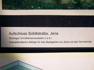 Bild 88: In einer Vitrine im Institut wird der Aufschluss 1 in der Schillstraße kurz vorgestellt.