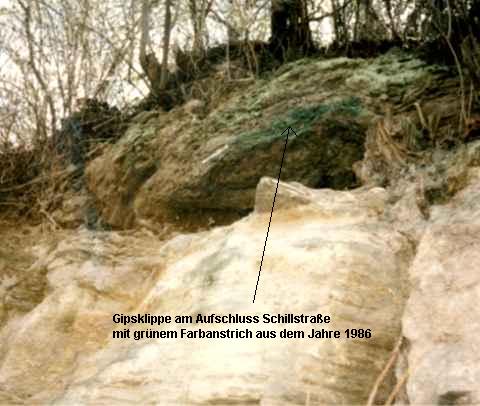 Bild 5: Die "Gipsklippe" am Aufschluss 1 (Aufnahme 1993)