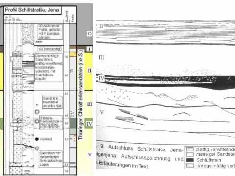 Bild 22: Profil Schillstraße (Aufschluss1) als Typlokalität für Jena (aus Diplomarbeit S. Lang)