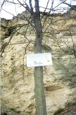 Die Originaltafel aus dem Jahr 1987 am gleichen Baum befestigt. (Foto M. Dietz ~ 2000 ?)