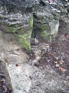Bild 104: Neue Felsklippen der Myophorienfolge am freigelegten Zugangspfad 