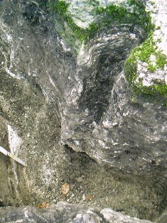 Bild 97: Detailansicht, am Boden graue Mergelsteine der darüber liegenden Pelitrötfolge Bild 98: Gesamtansicht, rote Pfeile kennzeichnen die neu freigelegten Schlottenbereiche