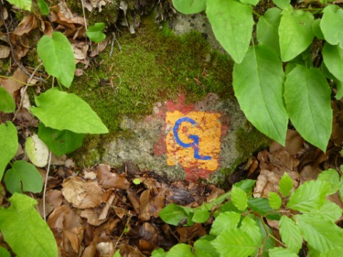 Das letzte Mal im Juni 2013  freigelegte GL Zeichen auf der Muschelkalkplatte.