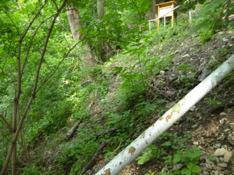 aufgegebener Zugangspfad zu 	den Myophorienschichten unterhalb von Ulmers Ruh - am Geländer war früher ein GL 	Zeichen aufgemalt
