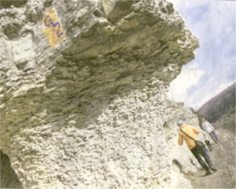 In einem Artikel der OTZ vom 3.4.13 sah ich ein Bild vom Sphinxfelsen am Zweiten Geologischen Lehrpfad mit dem GL 2 Symbol (Bildquelle: OTZ)