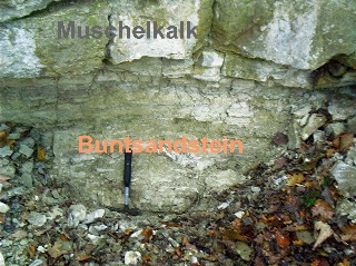 Bild 108: Nur an einer Stelle erneut gut zu sehen: Der Übergang vom Buntsandstein zum Muschelkalk