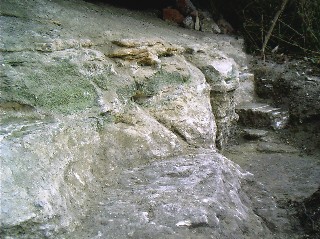 Bild 213: Die gereinigten Sandsteinfelsen der Sollingfolge (Chirotheriensandstein).
