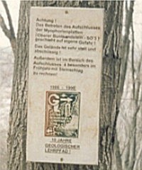 Bild 18 d Hinweis am Baum