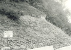 Bild 14: Wilhelmshöhe 1989