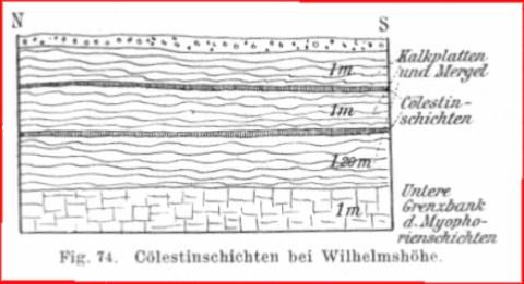 Coelestinschichten an der Wilhelmshöhe (aus: "Geologisches Wanderbuch" von E. KIRSTE, 1912)