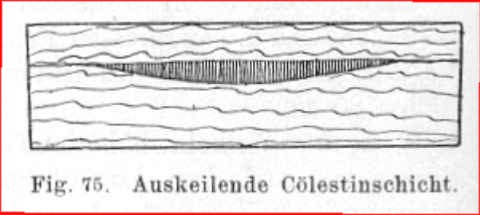 Auskeilende Coelestinschicht (aus: "Geologisches Wanderbuch" von E. KIRSTE, 1912)