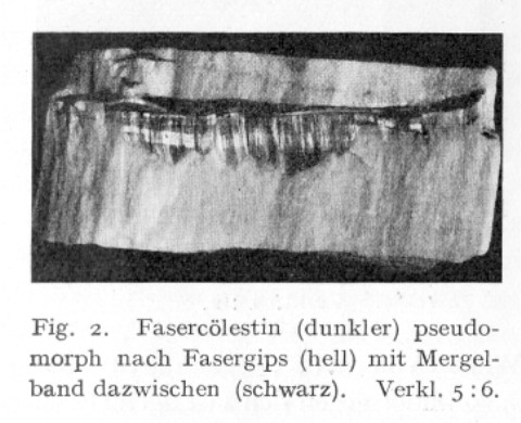 Originalstück aus dem Fund von H. Seifert (1926), Fundort: Göschwitz/Mönchsberg 