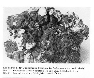 Karneolknolle aus dem Fundgebiet Schöngleina (FO Hetzdorf ist eine falsche Angabe)