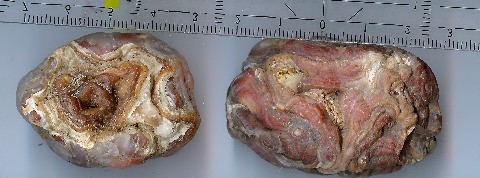 Bild 5: zwei Funde von Herbst 2005 zeigen teils erhabene und herausgewitterte Achatlagen in den abgerollten Achaten