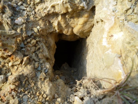 Sintercalzithöhle